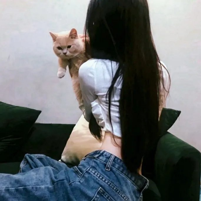 把我献给你